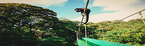 Syl Travel Costa Rica Excursion Transfers Sky Walk